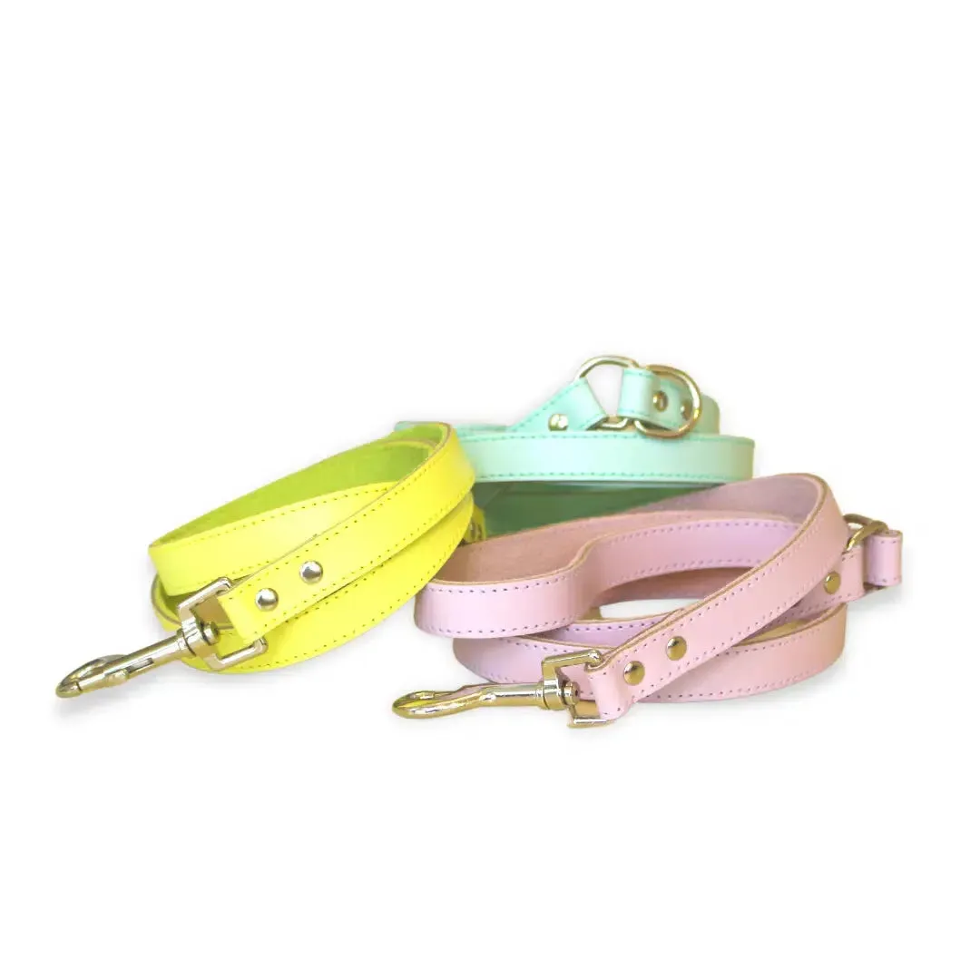 DOGUE Gelato Dog Lead