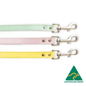 DOGUE Gelato Dog Lead